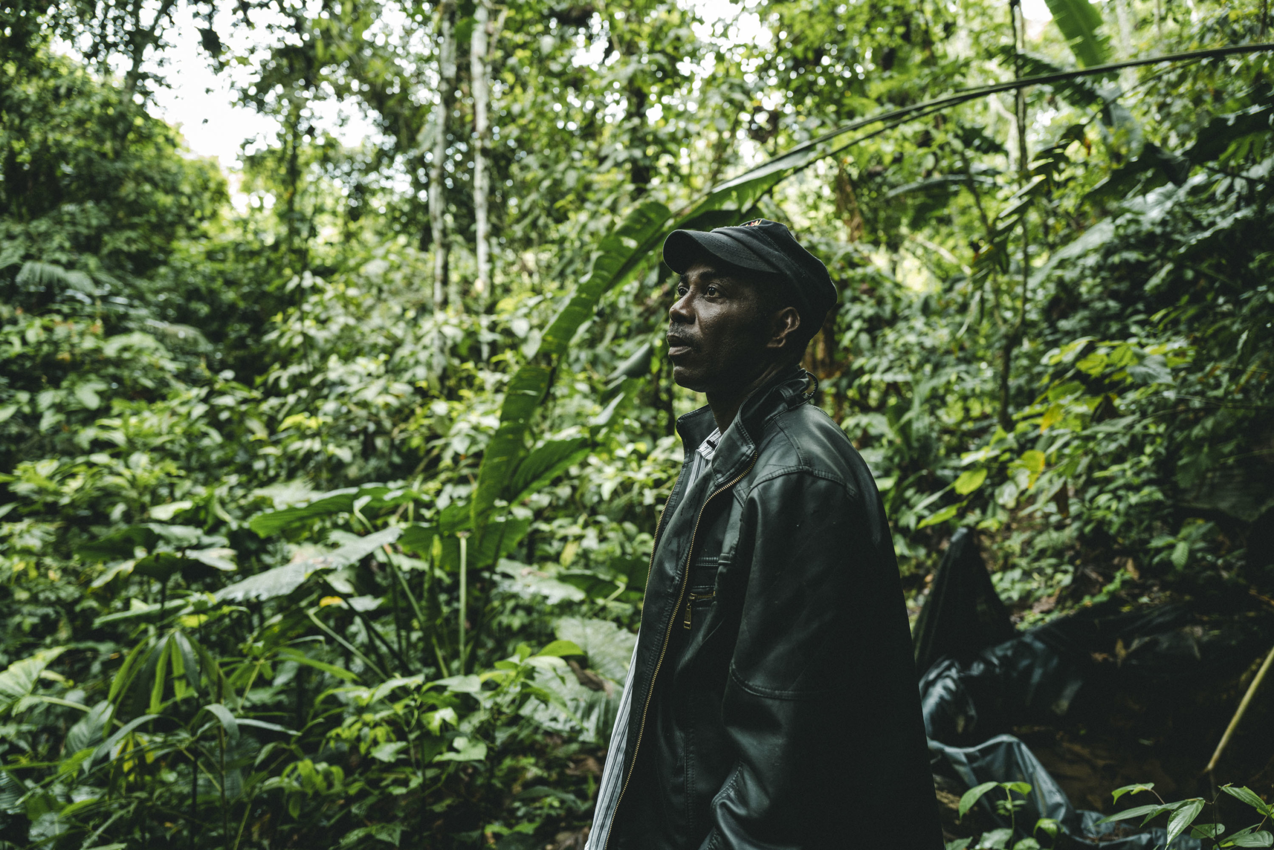 Jungle of Peace: How a chocolate business run by ex-FARC fighters is delivering economic dividends to communities in Colombia